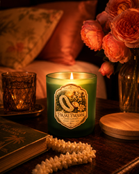 Pikaki Paradise Candle — Pikake, Tuberose & Coconut | Island Dreamer Collection
