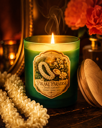 Pikaki Paradise Candle — Pikake, Tuberose & Coconut | Island Dreamer Collection