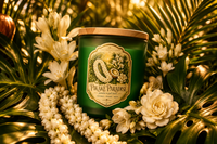 Pikaki Paradise Candle — Pikake, Tuberose & Coconut | Island Dreamer Collection